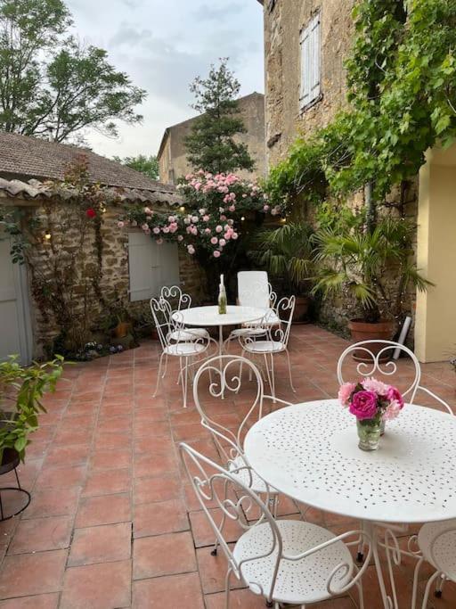 La Maison De Mama C: Charming French Village Home Sainte-Colombe-sur-l'Hers Exterior photo